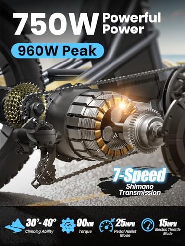 Electric Trike for Adult with 750W Motor, 48V Battery, 20" Fat Tire Y5910