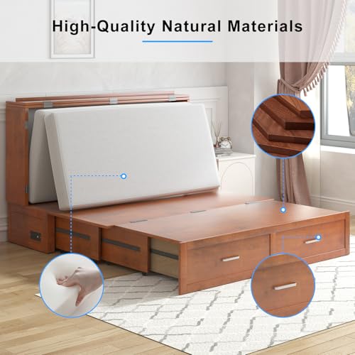 PUREMIND Queen Murphy Bed Cabinet with 2 Storage Drawers and USB Charging Station R5817