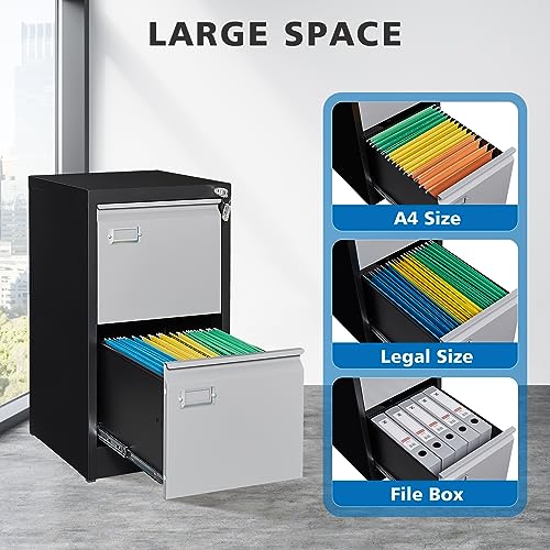 2 Drawer Vertical File Cabinet with Lock for Letter Size, Steel Office Storage Y50014