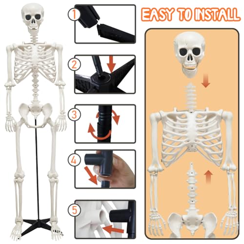 UMEELR 5.9FT Poseable Life Size Skeleton for Halloween Decoration B873000