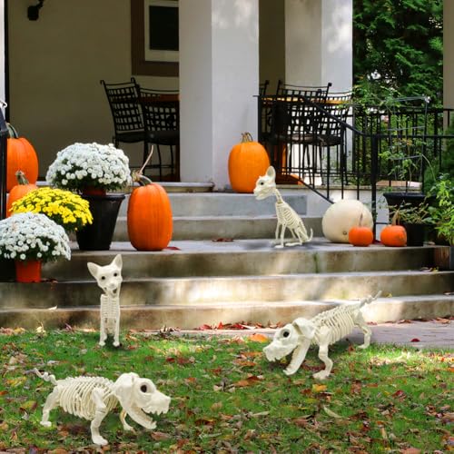 UMEELR 5.9FT Poseable Life Size Skeleton for Halloween Decoration B873000