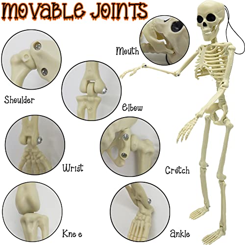 Life Size Skeleton with Posable Joints for Halloween Decor R4204