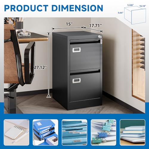 2 Drawer Vertical File Cabinet with Lock for Letter Size, Steel Office Storage Y50014
