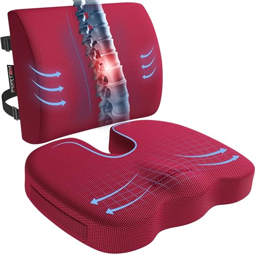 FORTEM Office Chair Cushion and Back Support, Memory Foam Lumbar Pillow, Non Slip, XL V440
