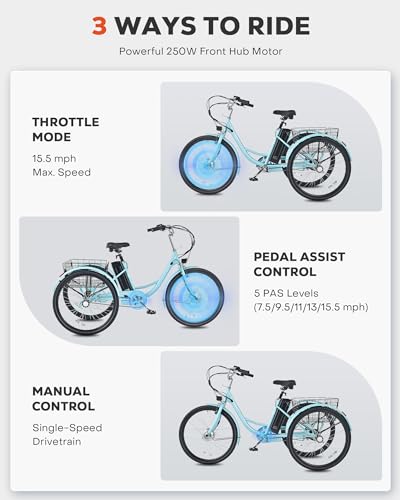Viribus Electric Tricycle for Adults, 24 Inch 250W with Removable Battery I492