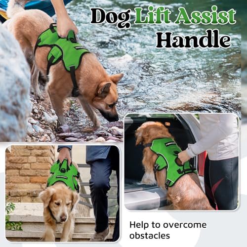 rabbitgoo Escape Proof Dog Harness, Soft Padded Reflective No Pull Vest, Large Dogs, S, Black S398647