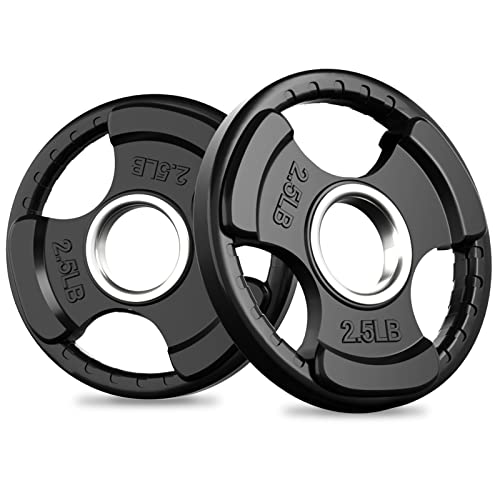 RitFit Olympic Rubber Grip Plates 2-Inch for Barbell Weightlifting Strength Training Z70542