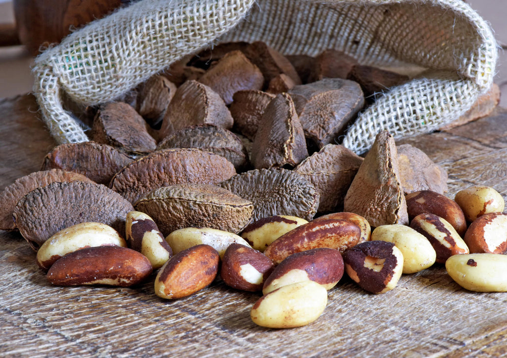 Organic Dry Roasted Brazil Nuts with Himalayan Salt, 4 Pounds by Food to Live U1012