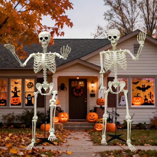 UMEELR 5.9FT Poseable Life Size Skeleton for Halloween Decoration B873000