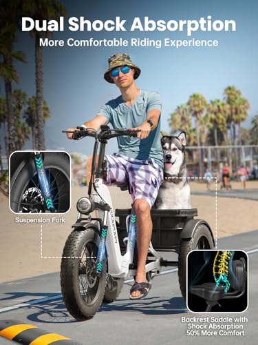 Electric Trike for Adult with 750W Motor, 48V Battery, 20" Fat Tire Y5910