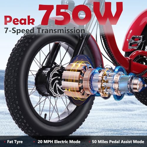 Electric Tricycle for Adults, 750W, Folding Fat Tire, 48V Removable Battery O76597