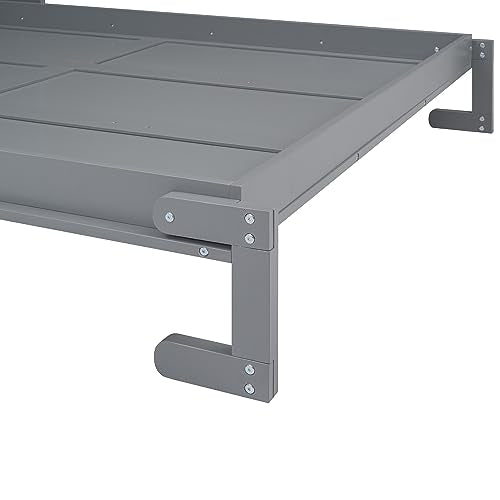 Queen Murphy Bed with Storage Shelves and LED Lights, White D5338