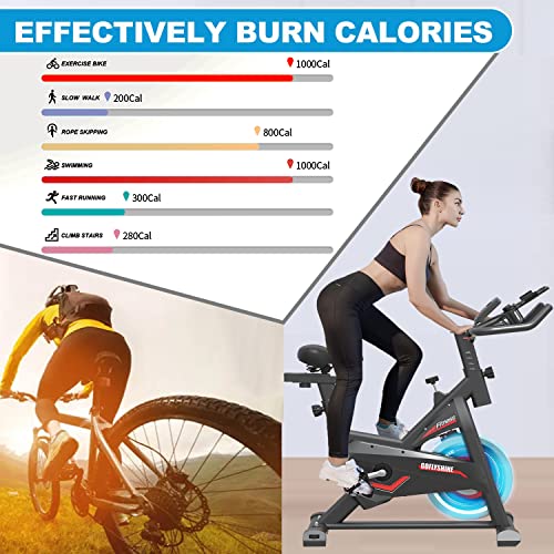 Indoor Cycling Bike with iPad Mount & LCD Monitor, Silent Belt Drive L36836