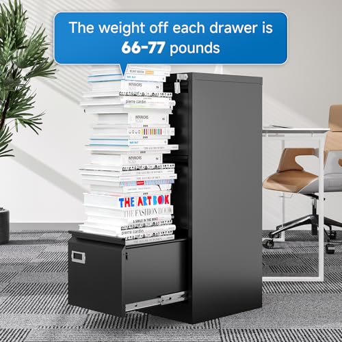 2 Drawer Vertical File Cabinet with Lock for Letter Size, Steel Office Storage Y50014