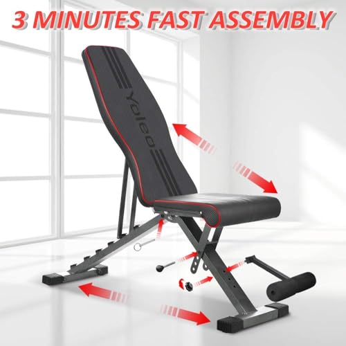 YOLEO Adjustable Weight Bench, Foldable Strength Training, 330 lbs Capacity V8907