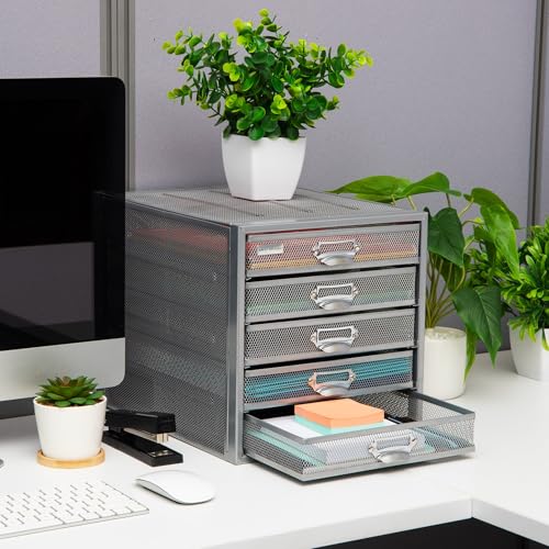 Mind Reader 10-Drawer Metal Mesh Desk Organizer, Silver N923041