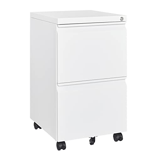 2 Drawer Vertical File Cabinet with Lock for Letter Size, Steel Office Storage Y50014