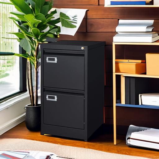 2 Drawer Vertical File Cabinet with Lock for Letter Size, Steel Office Storage Y50014