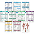 10 Pack - Exercise Workout Poster Set - Dumbbell, Suspension, Kettlebell, Resistance Bands, Stretching, Bodyweight, Barbell, Yoga Poses, Exercise Ball, Muscular System Chart (LAMINATED,18" x 24")