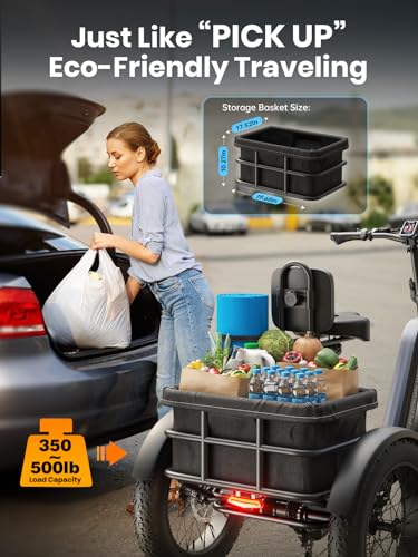 Electric Trike for Adult with 750W Motor, 48V Battery, 20" Fat Tire Y5910