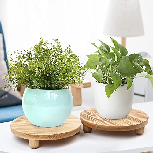 Wood Riser 2 Pack Round Wooden Pedestal Stand for Display G714