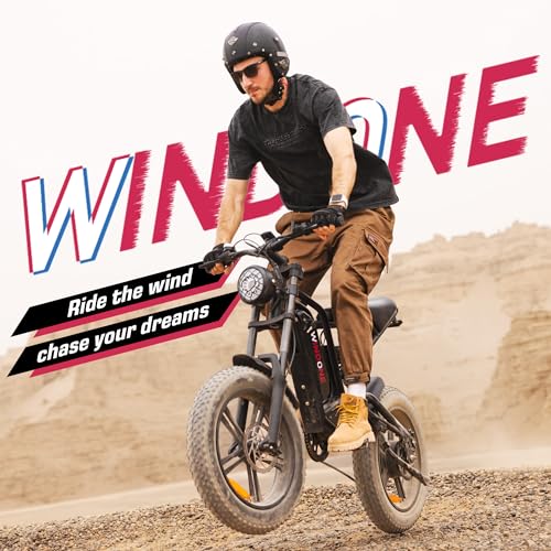E2/K20 Electric Bike for Adults, 48V 13Ah/15Ah, 750/1000W Peak, 20"/26" Fat Tires Z839544