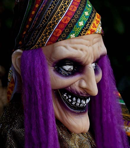 Animated Talking Fortune Teller Witch Halloween Decor A585309
