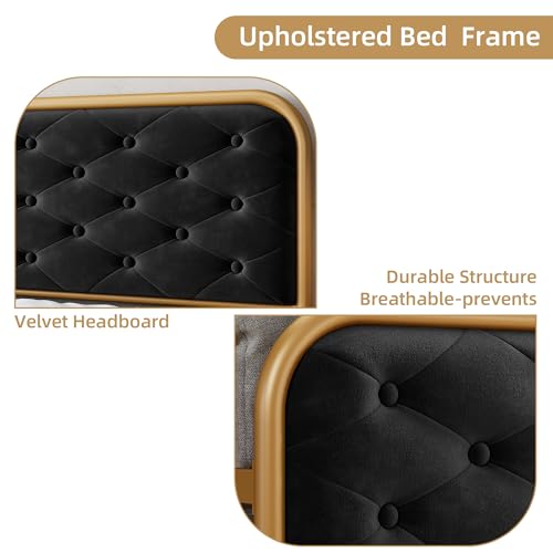GAOMON Queen Size Bed Frame with Button Tufted Curved Headboard, Velvet Upholstered Platform Bed, Gold-Black Z671