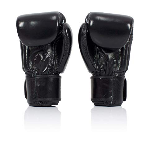Fairtex BGV1 Muay Thai Boxing Training Sparring Gloves U66399