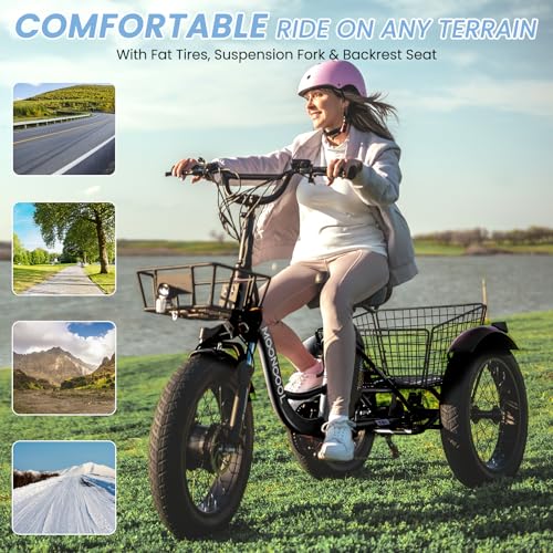 MOONCOOL Electric Tricycle for Adults, 500W Motor, 7-Speed, Removable Battery T91463