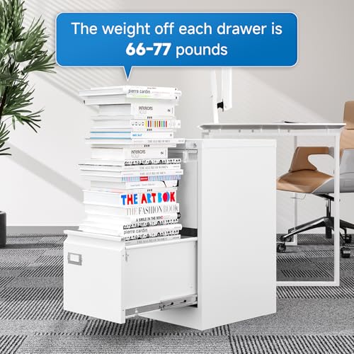 2 Drawer Vertical File Cabinet with Lock for Letter Size, Steel Office Storage Y50014