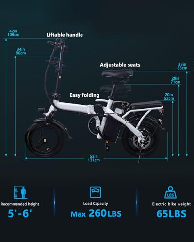 Folding Electric Bike for Adults with Removable Battery P213045