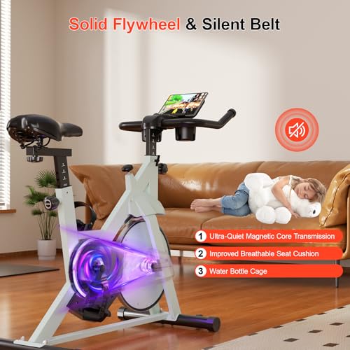 Magnetic Resistance Exercise Bike for Home, 300lbs Capacity M735