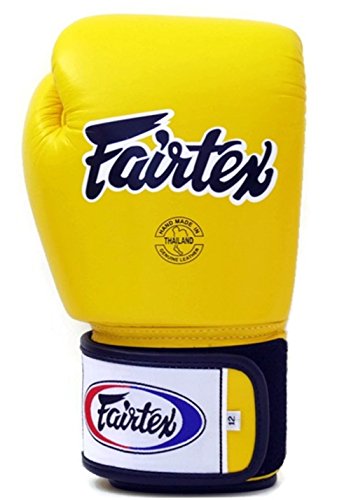 Fairtex BGV1 Muay Thai Boxing Training Sparring Gloves U66399