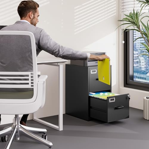 2 Drawer Vertical File Cabinet with Lock for Letter Size, Steel Office Storage Y50014