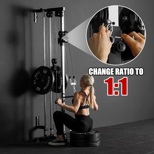 ER KANG Wall Mount Cable Station with Dual Pulley System for Home Gym Q918872