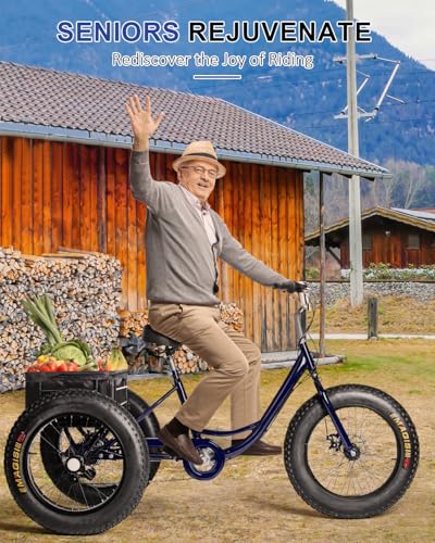 StableRide Adult Tricycle, 20-Inch Fat Tire 3-Wheel Bike, 7-Speed K74318