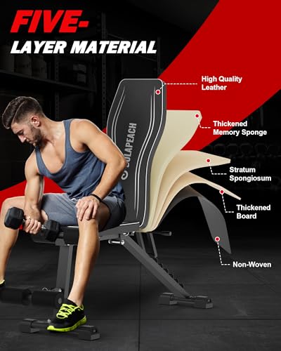 Adjustable Weight Bench for Home Gym, Foldable, 700LBS Capacity B1078