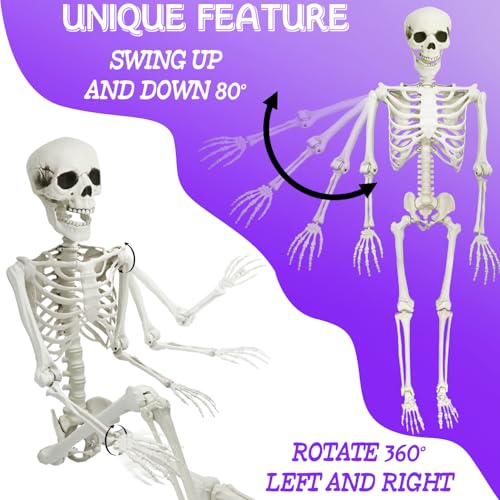 Life Size Skeleton with Posable Joints for Halloween Decor R4204