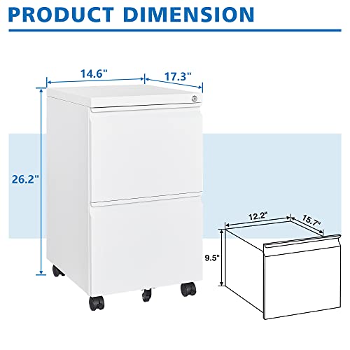 2 Drawer Vertical File Cabinet with Lock for Letter Size, Steel Office Storage Y50014