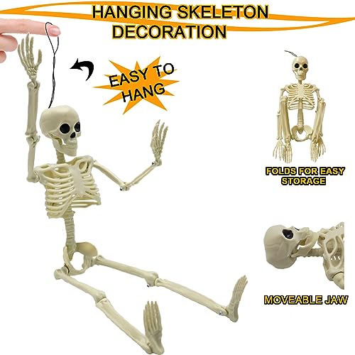 Life Size Skeleton with Posable Joints for Halloween Decor R4204