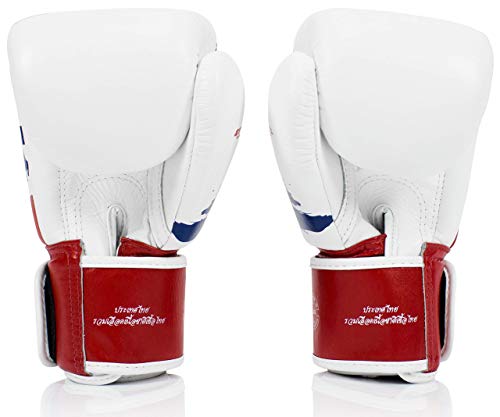 Fairtex BGV1 Muay Thai Boxing Training Sparring Gloves U66399