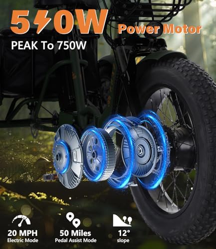 Electric Tricycle for Adults, 750W, Folding Fat Tire, 48V Removable Battery O76597