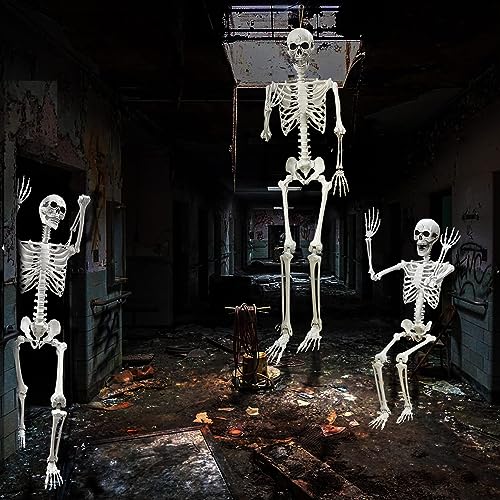Wocst 5.4Ft Halloween Skeleton with Movable Joints Z6304