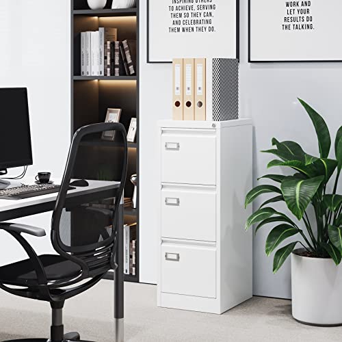 2 Drawer Vertical File Cabinet with Lock for Letter Size, Steel Office Storage Y50014