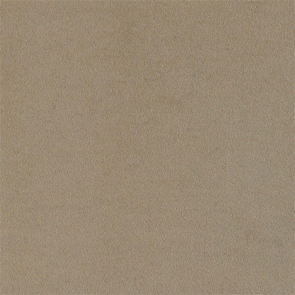Coaster Rainn 2-Piece Fabric Upholstered Living Room Set, Latte L592