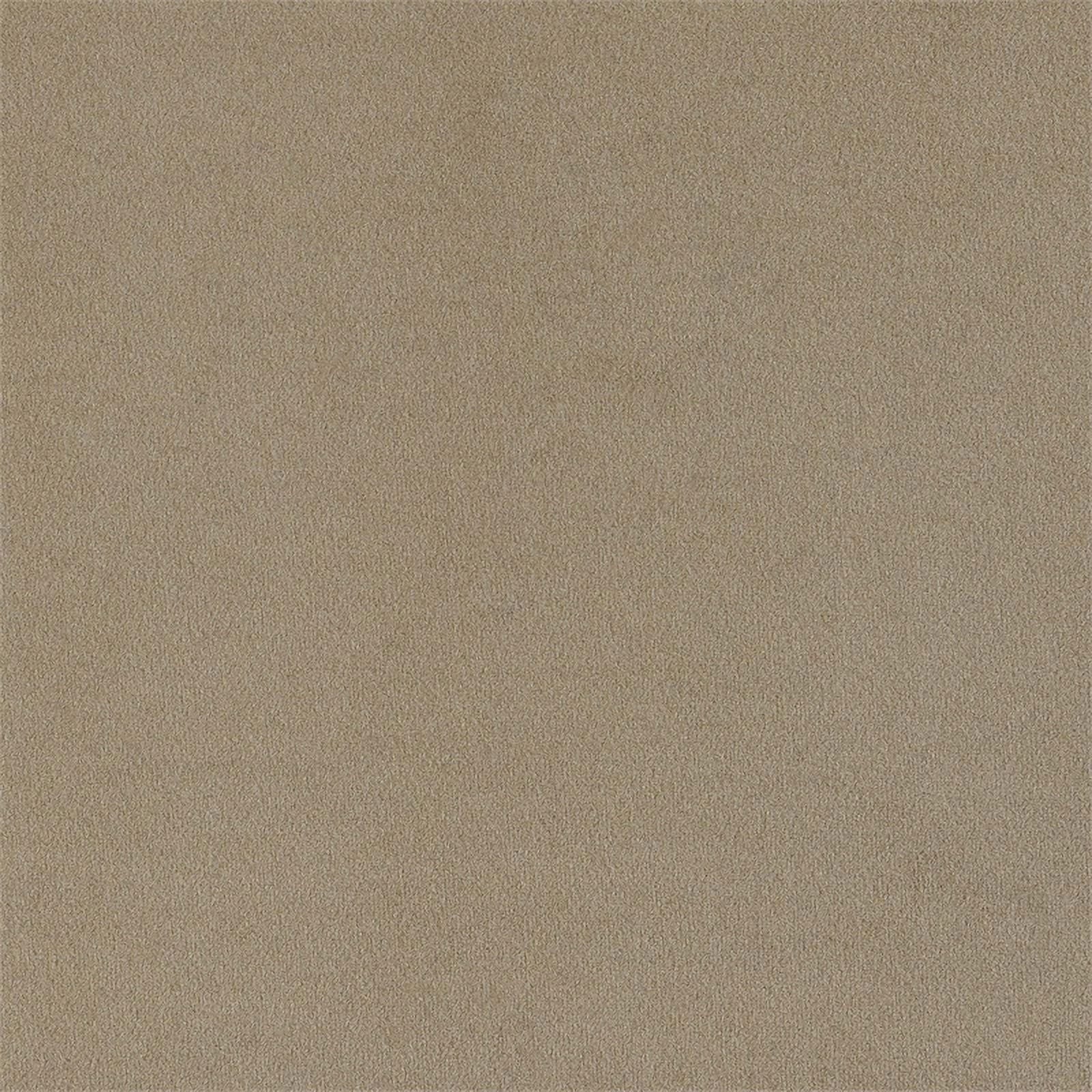 Coaster Rainn 2-Piece Fabric Upholstered Living Room Set, Latte L592