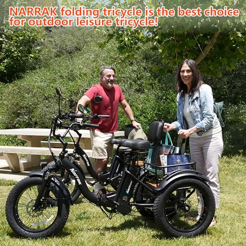 Electric Tricycle for Adults 750W Folding Fat Tire 3-Wheel Ebike K61564