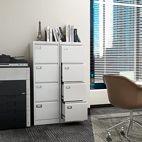 2 Drawer Vertical File Cabinet with Lock for Letter Size, Steel Office Storage Y50014