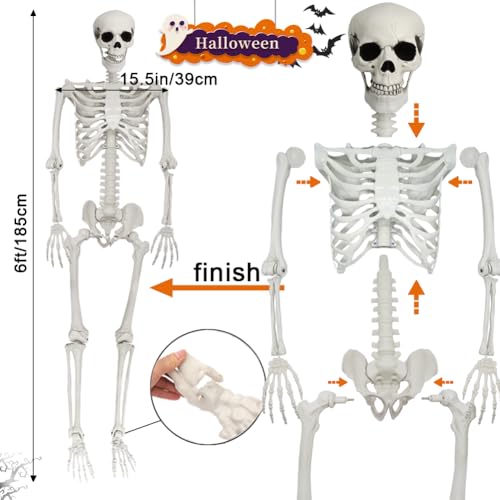 UMEELR 5.9FT Poseable Life Size Skeleton for Halloween Decoration B873000